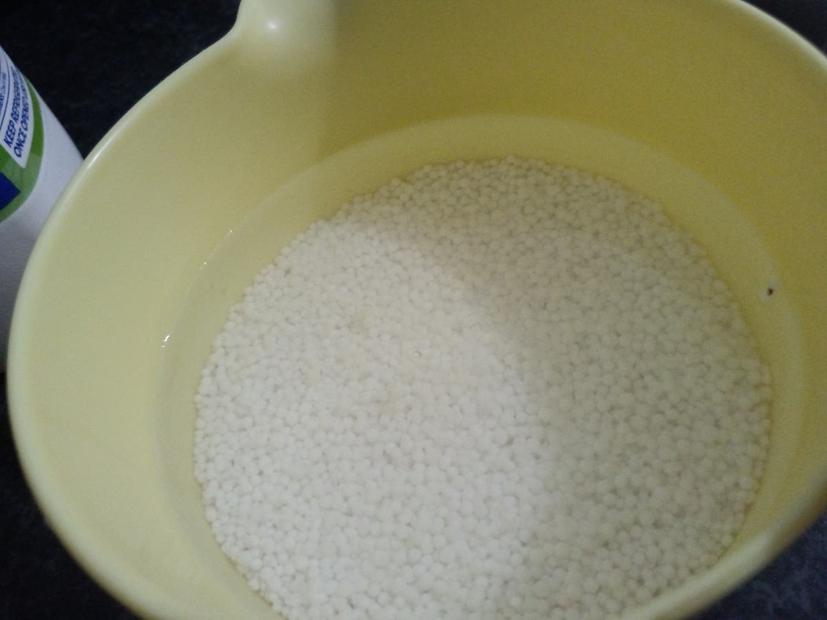 Put sago in water for 30min