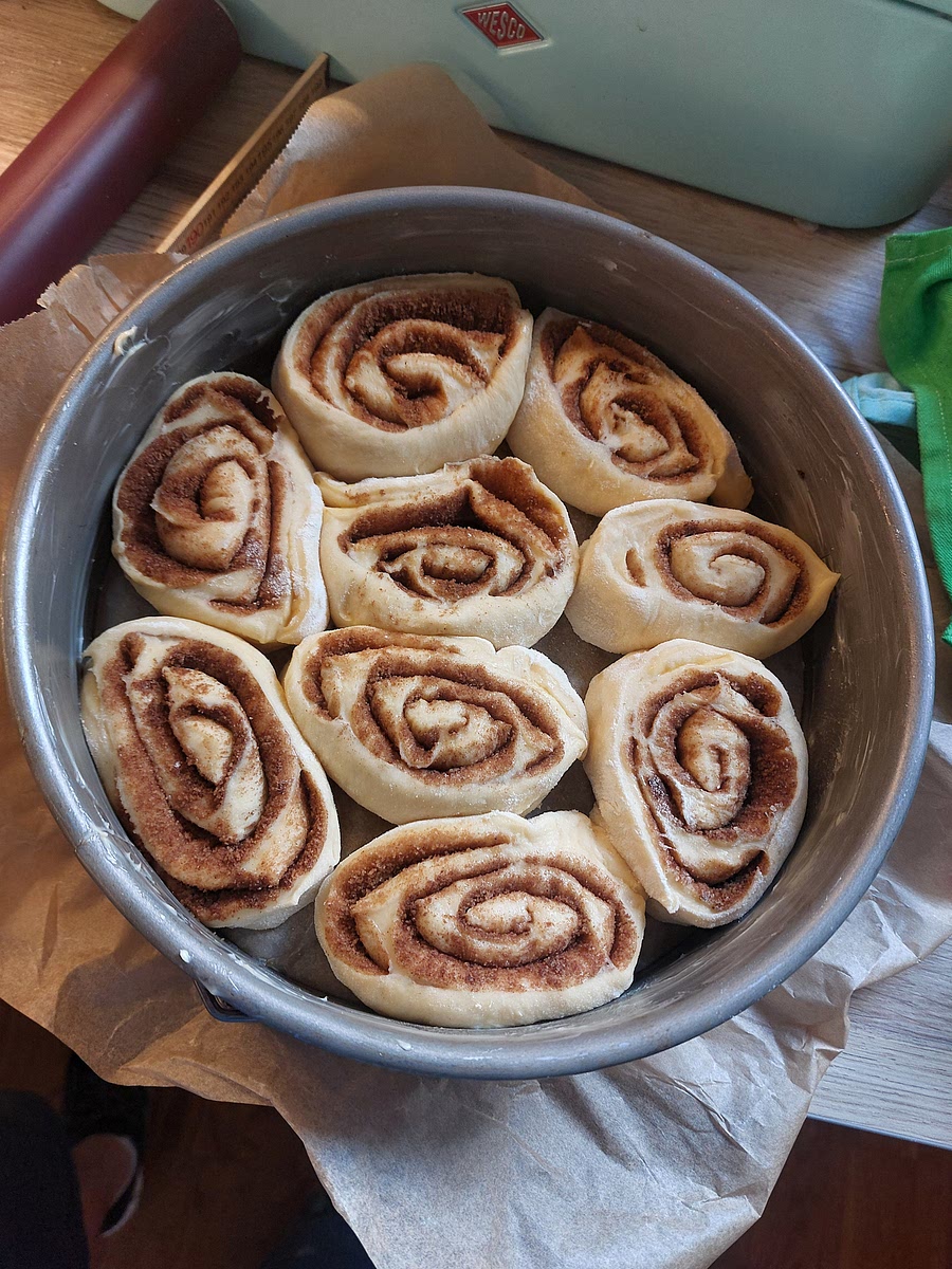 Schnecken hineinlegen. Zudecken; 1-2 Std. Gehzeit