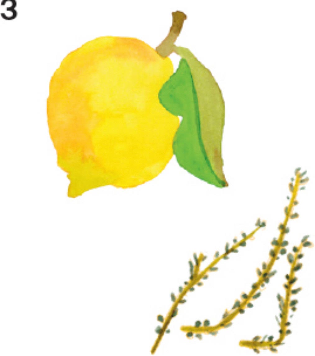 3Preserved lemon & oregano