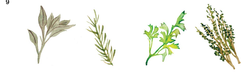 9Herbs: basil, dill, oregano, sage, rosemary, parsley, thyme