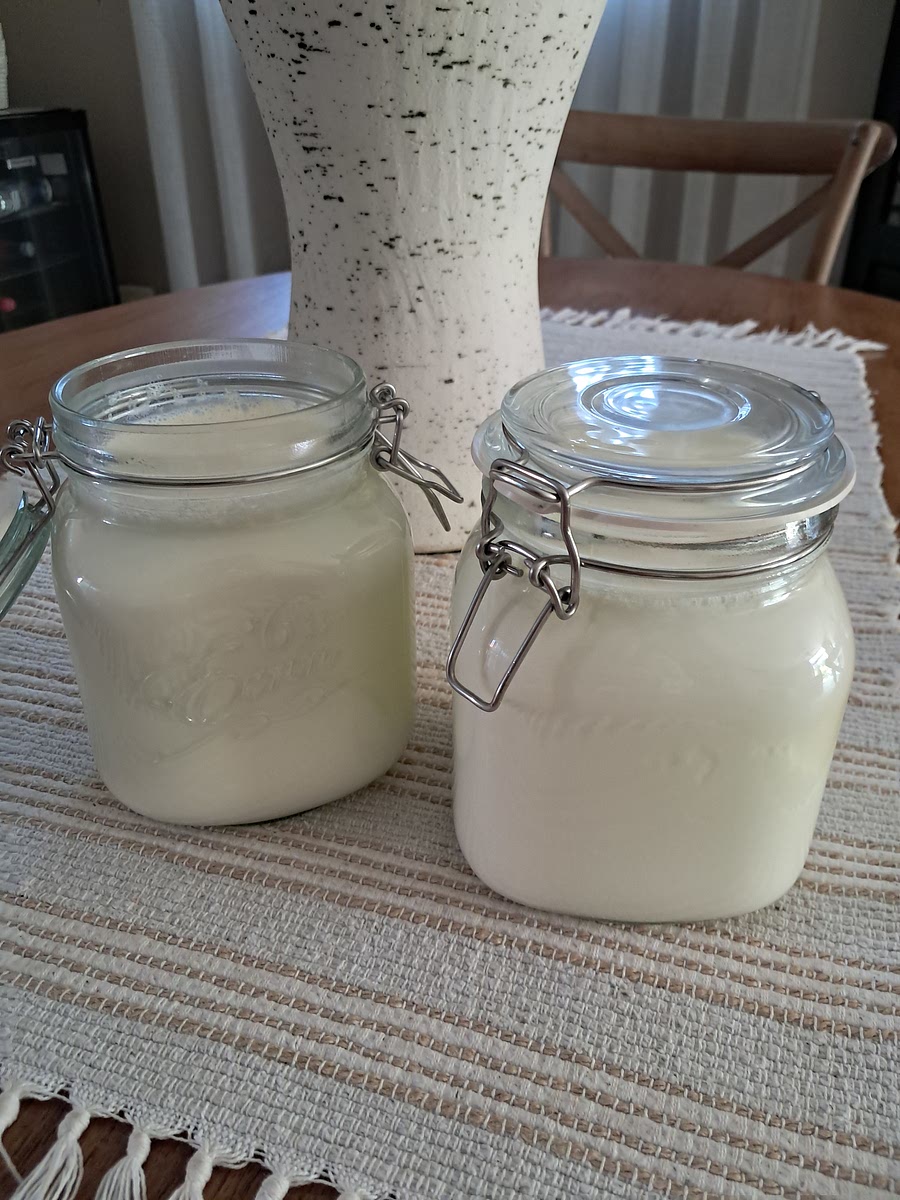 After 3,5 to 4 hours, remove the yogurt from the dutch oven and place it into the refrigerator to cool.