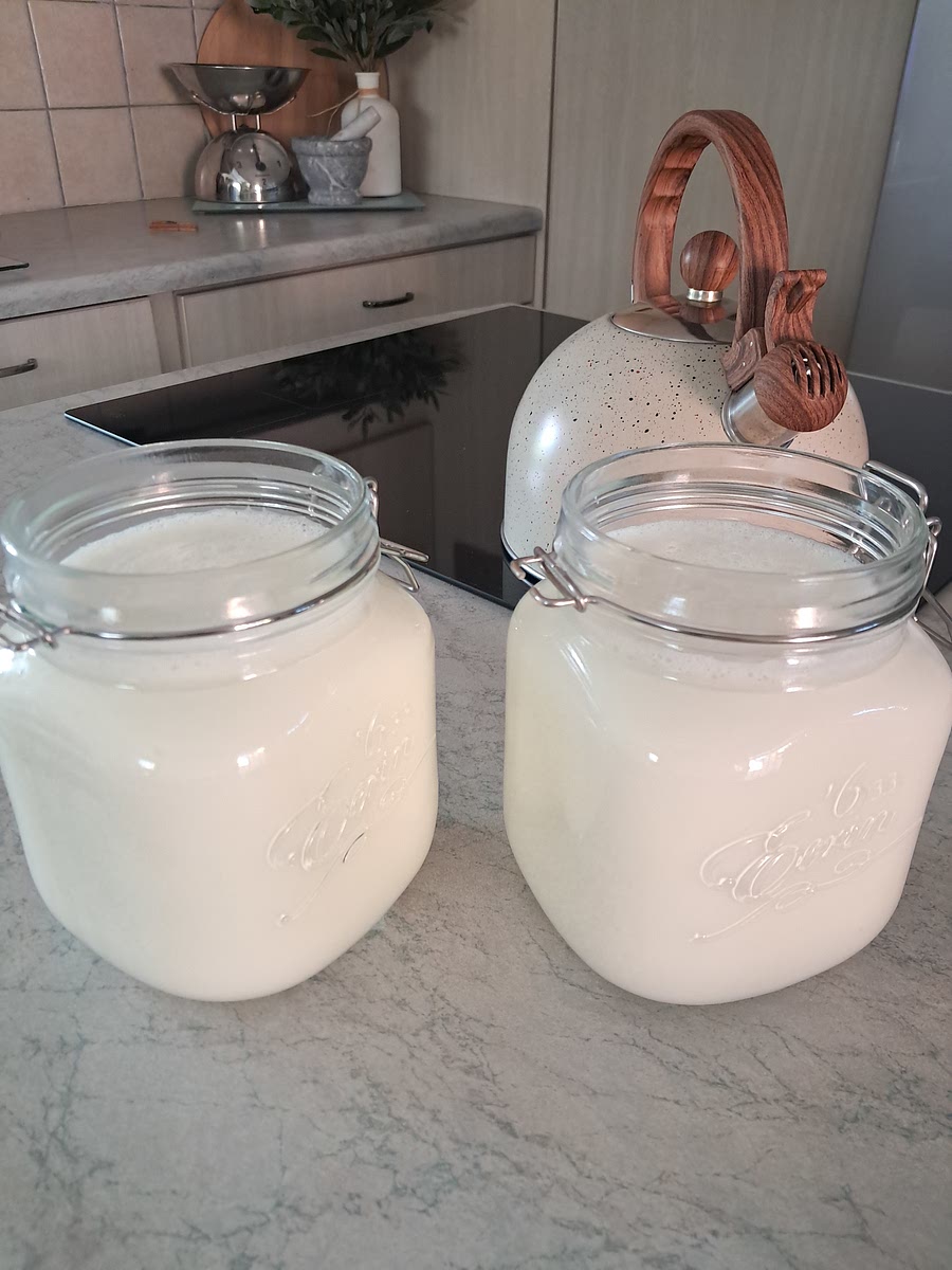 Pour the milk into two 1L containers and close.