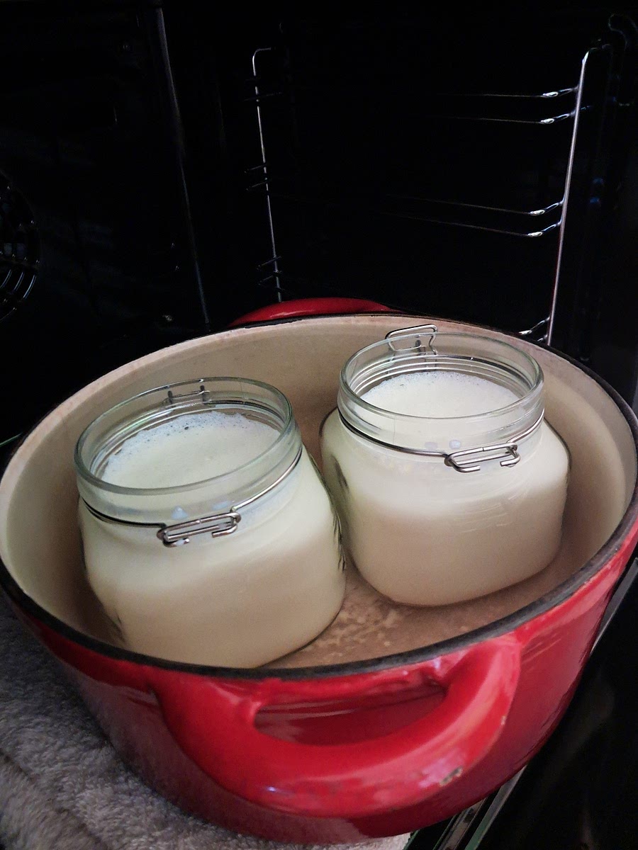 Fill the dutch oven or cooler with boiling water to the rim of the two 1L containers.