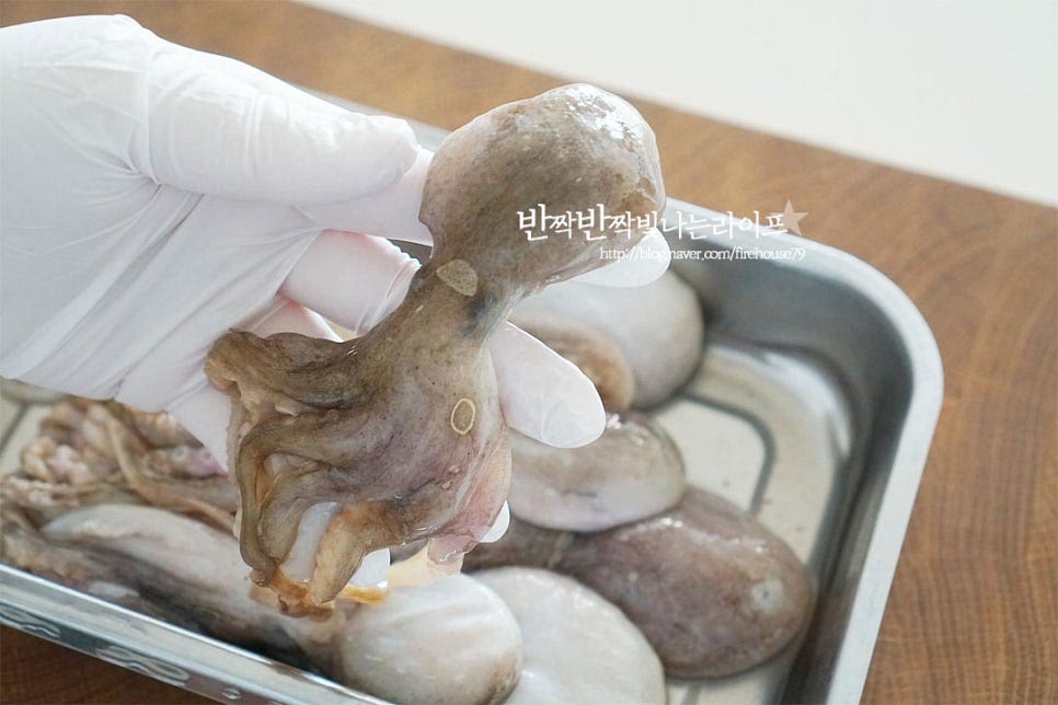 수확하여 급랭한 냉동 쭈꾸미는 해동한 뒤 흐르는 물에 씻어주었습니다. 먼저 손질을 해주도록 해요. 몸통 중간막을 가위로 칼집을 넣은 뒤 뒤집어 내장을 제거해 줍니다. 내장부분을 잘라내어주는데 먹물집이 터지지 않도록 조심하여 손질해 주세요. 눈을 제거하여 주고, 입 부분을 눌러 이빨을 떼어내어 줍니다. 표면이 미끄러운 편이라 가위를 사용하면 보다 간편하게 손질할 수 있습니다. 제거할 것은 다듬어준 뒤 밀가루와 굵은소금을 뿌려 세척해 줍니다. 밀가루가 빨판의 이물질을 제거해 주고 굵은소금으로 냉동상태의 식감을 탱탱하게 살려준답니다. 바락바락 문질러 이물질을 제거해 줍니다. 그리고 꼼꼼하게 세척해요.