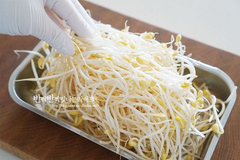 콩나물은 머리나 꼬리를 따로 다듬지 않고 가볍게 세척해 줄 것인데요. 꼬리 부분에 아스파라긴산이 많이 들어있어 해장에 도움이 되니 해장국으로 끓인다면 뿌리부분은 떼어내지 않고 같이 넣어주세요. 세척하면서 보이는 상한부분은 제거하여 손질해 줍니다. 가볍게 흔들어 씻은 뒤 체에 밭쳐 물기를 털어줍니다.