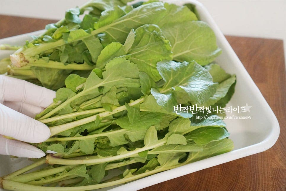 유채꽃이 피기 전에 먹어야 제맛인 유채나물은 경상도에서는 겨울초라고 부르는데요. 봄나물 특유의 부드러운 식감과 쌉싸름하고 달큰한 특유의 맛이 생으로 겉절이를 만들면 입맛 돋우는 봄철 별미에요. 양념만 알면 간단하게 요리할 수도 있고요. 바로 버무려 먹는 생채이다 보니 줄기와 잎이 억세지 않고 연한 것이 식감이 아삭하고 부드럽고 맛이 좋아요. 밑동 부분을 잘라내고 식초를 희석한 물에 담가 흔들어준 뒤 흐르는 물에 흙내가 나지 않게 헹구어 줍니다. 체에 밭쳐 물기를 털어줍니다. 크기에 따라 한입에 먹기 좋게 잘라줍니다.