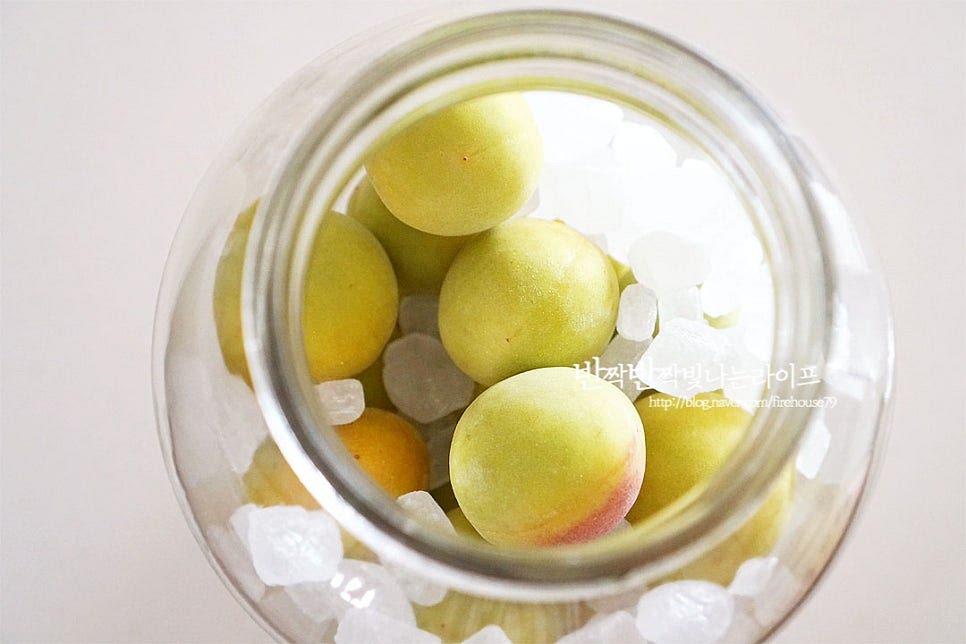 이번에는 얼음설탕을 넣고 만들었어요. 동일하게 공병에 매실을 담고 빙탕을 넣어줍니다. 입자가 큰 설탕을 넣고 달달하게 만드는 건 우메주 스타일인데요. 술이 단맛이 강한 것을 좋아하지 않아 200~300g 정도 넣었습니다. 달콤한 우메주를 좋아하신다면 500~700g 넣어주셔도 좋아요. 30% 도수의 소주를 부어줍니다. 두번째는 과실의 향을 진하게 담고 싶어 1kg에 담금주 1.8L 부어주었어요. 뚜껑을 닫고 숙성해 줍니다. 두 가지 모두 1년 숙성해 줄 것이라 그대로 서늘한 곳에 두었어요. 영상도 같이 담았어요. 매실주 담그기 과정을 정리해 보면 담금소주 도수는 25% 이상, 설탕은 단맛 기호에 따라 가감, 감초로 쓴맛을 잡아주기 1년 동안 뚜껑을 열지 않고 그대로 숙성하기입니다. 매실주 만들기 맛있게 숙성해 드세요^^ 끄읕 !