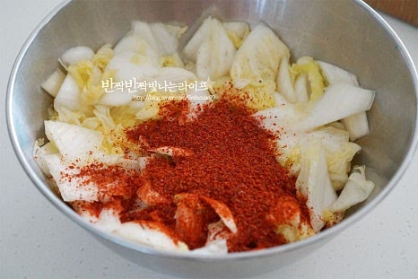 큼직한 볼에 절인 알배기배추를 넣고 고춧가루 3 큰 술을 뿌려 버무립니다. 재료의 수분도 잡아주고 고춧가루로 색을 먼저 내어줍니다. 만들어둔 양념을 넣고 버무려 섞어줍니다. 쪽파도 함께 넣고 버무려 완성합니다. 부족한 간은 소금으로 조절하고 입맛에 따라 바로 만들어 먹을 땐 참기름 약간 넣어도 좋습니다.