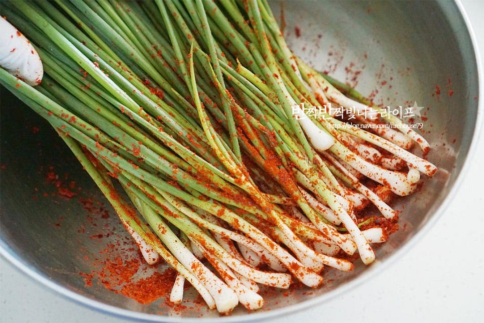 절인 쪽파에 나머지 고춧가루 1/3 정도를 뿌려 버무립니다. 남아있는 수분을 잡아주어 김치 양념이 더 잘 어우러질 수 있도록 해준답니다. 절반 정도의 양념을 먼저 흰대 부분으로 바른 뒤 나머지를 줄기잎 부분으로 사이사이 발라줍니다. 양념이 골고루 버무려지도록 해주면 됩니다.