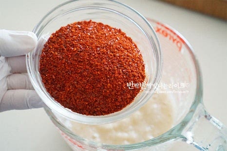 갈아둔 재료에 고춧가루 2/3 정도의 분량과 절인 쪽파를 건져내고 남은 꽃게액젓을 같이 넣어줍니다. 양념재료를 섞어서 고춧가루가 풀어지도록 5분 정도 둡니다. 고춧가루가 어우러지면서 농도도 걸쭉해집니다. 간에 따라 짠맛은 조절해주면 됩니다.