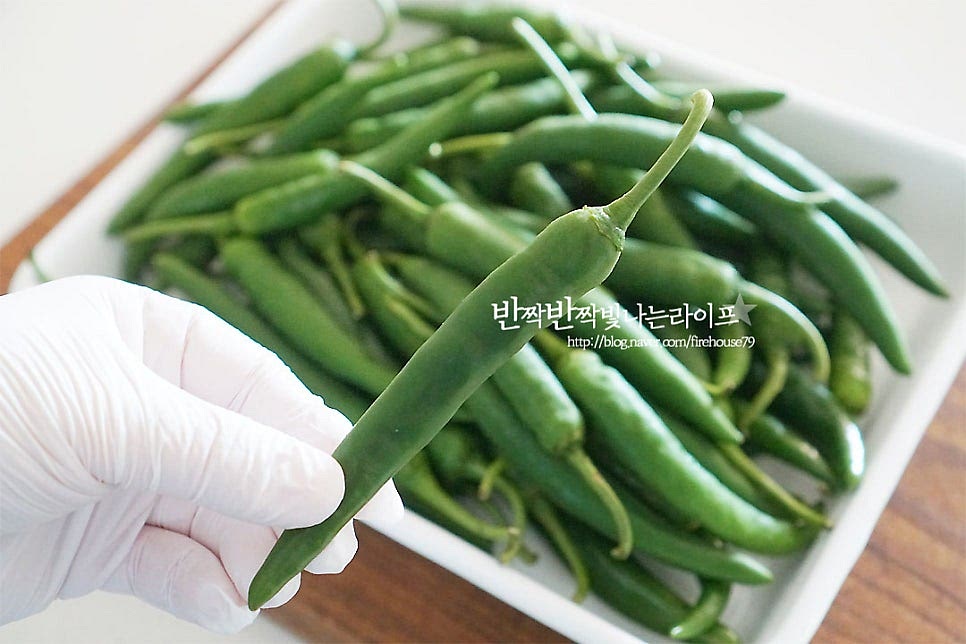 소금물이 식을 동안 청양고추를 손질하여 줍니다. 녹색이 선명하고 만져보았을 때 단단하고 두꺼운 게 삭힌고추 만들기 좋아요. 꼭지 부분을 1~2cm 정도 남게 잘라 다듬어 줍니다. 삭힌 뒤 먹었을 때 물기 톡 튀어나오지 않게 포크로 콕콕 찔러주셔도 되는데 저는 생략하고 그대로 담았어요. 식초를 희석한 물에 깨끗하게 씻어 줍니다. 다듬어 씻어놓으면 반질반질한 게 참 곱죠~ 물기는 완전히 제거해 줍니다. 밀폐용기에 담아줍니다. 담은 뒤 사이사이 공간이 차도록 살살 흔들어 줍니다.