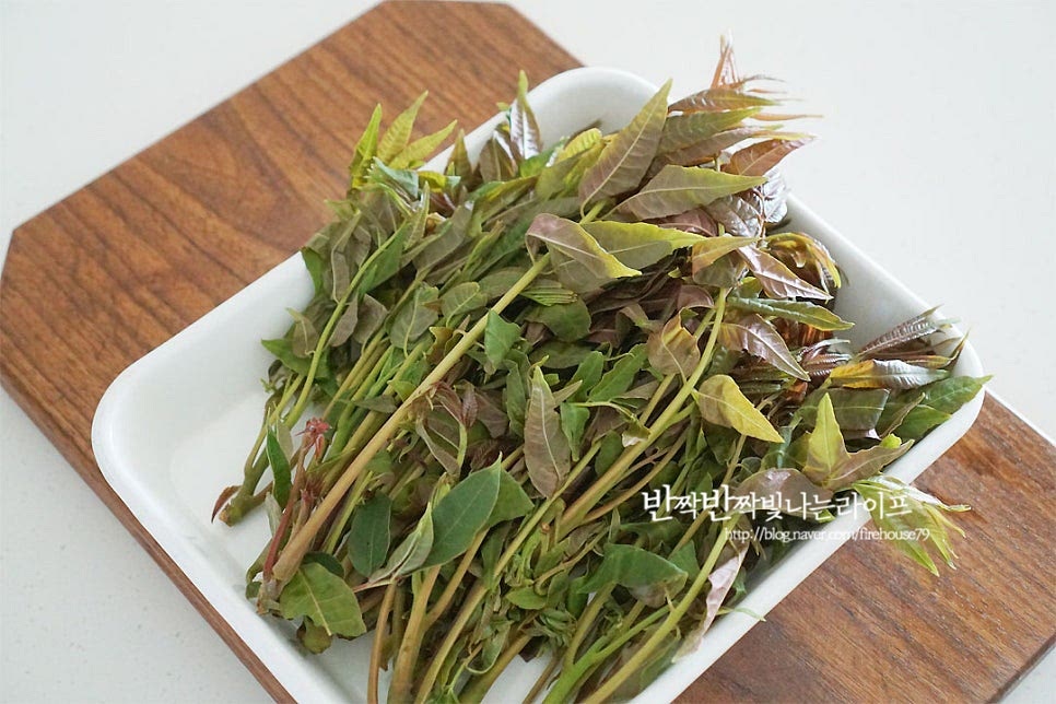 가죽순나물은 보랏빛 색감이 돌며 향이 강한 게 특징인데요. 처음 접해보면 마치 고수를 처음 먹었을 때와 같은 오묘한 기분이 드는데요. 막상 먹어보면 또 그 맛이 있답니다. 단단한 줄기 끝부분을 손질하여 먹기 좋게 다듬어 주어요. 손질한 뒤 재료가 잠길 정도로 냄비에 물을 부어준 뒤 소금 1/2 큰 술을 넣어줍니다. 끓어오르면 나물을 넣어주어요. 뜨거운 물에 데치면 색이 초록색으로 변해요. 너무 오래 삶을 필요 없이 1분 정도 데쳐 줍니다. 찬물에 서너 번 흔들어 씻어 헹군 뒤 물기를 꼭 짜줍니다.