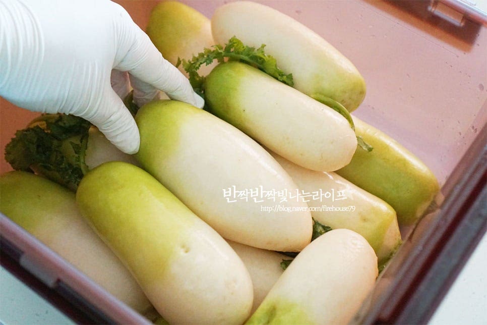 김치통에 대파를 먼저 깔아준 뒤 절인 무우를 엇갈리게 담아줍니다. 배, 쪽파, 마늘과 생강 넣어주고요. 다시마 손바닥만한 크기 한 장 넣어요. 다시마는 반나절 정도 넣어두었다가 건져내어주세요. 고추와 대추도 넣고 모든 재료를 켜켜이 담아줍니다. 만들어둔 소금물을 부어줍니다.