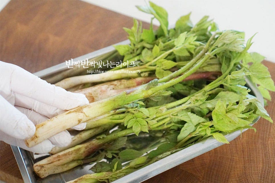 땅에서 순이 올리오는 땅두릅은 나무에서 열리는 참두릅과 달리 줄기가 굵고 아삭한 맛이 좋아 오늘 알려드리는 숙회 이외에 소고기 말이나 전을 구워도 맛있어요. 본연의 진한 향긋함과 쌉싸래한 향미를 진하게 맛볼 수 있답니다. 겉에 묻은 흙은 가볍게 털어내고 밑동 부분을 잘라내어 줍니다. 겉껍질이 있다면 밑동을 조금 잘라낸 뒤 껍질 결을 따라 벗겨주면 됩니다. 솜털 같은 가시가 꽤 많은 편이라 연한 것은 입맛에 따라 그대로 먹어도 되지만 가볍게 긁어서 제거해주었습니다. 칼을 눕혀서 살짝 긁어냅니다. 밑동 부분은 입맛에 따라 끝부분만 잘라내어도 좋고 연하게 먹고 싶다면 넉넉하게 잘라내주세요. 너무 두껍지않은 연한 줄기라 데쳐서 먹기 딱 좋은 맛이었어요. 흙이 사이사이 꽤 많이 묻어나기 때문에 물에 담가 흔들어가며 세척해 줍니다. 굵은 줄기는 아랫부분에 열십자 모양으로 칼집을 넣어주면 고르게 데치기 좋습니다.