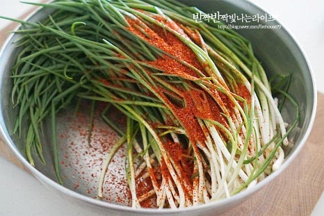 절인 파에 고춧가루 1/3을 넣고 버무려줍니다. 남아있는 수분을 잡아주어 김칫소가 잘 어우러질 수 있도록 해준답니다. 만들어둔 김칫소를 부어줍니다. 사이사이 골고루 버무려질 수 있도록 치대어줍니다. 숙성하여 익혀 먹는 것은 좋아하는 대로 하면 되는데요. 그대로 생으로 먹어도 감칠맛이 풍부하고, 실온에 반나절 두고 냉장고에 넣어 익혀드셔도 좋고요. 어떻게 먹어도 잘 어울리는 맛이에요. 영상도 같이 담았어요. 요즘 파가 맛있어서인지 쪽파김치 양념이 어우러지면서 매운 감칠맛이 깊고 맛깔나게 어우러져 밥 한 그릇 뚝딱 비우게 만드는데요. 꿀팁을 따라 만들다보면 실패할 수 없는 파김치 담그는법 이랍니다. 이영자 파김치 레시피로 간단하고 맛깔나는 향긋한 매운맛을 즐겨보세요. 끄읕 !