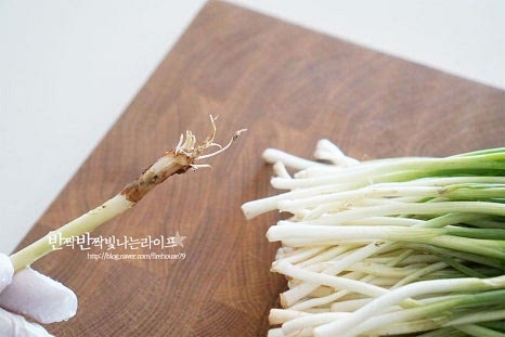 너무 굵지 않은 두께의 파를 준비해요. 먹기 좋게 껍질을 벗겨주 손질해 주는데요. 뿌리 부분을 잘라낸 뒤 줄기를 따라 겉껍질을 벗겨내어주면 됩니다. 파김치 같은 경우 껍질을 벗겨 다듬는 과정 후에는 양념을 버무리는 것은 비교적 간단하기 때문에 김치 종류 중에서도 복잡하거나 어렵지 않은 편이에요. 사이사이 흙이 묻어나므로 흐르는 물에 꼼꼼하게 세척한 뒤 물기를 탈탈 털어 준비해 줍니다. 이영자 파김치 레시피 꿀팁