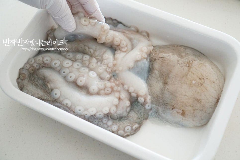 문어는 1kg 정도 크기로 1마리 준비했습니다. 제수용으로 사용하는 것은 큰 것을 삶지만 오늘은 집에서 먹기 위해 적당한 크기로 준비했습니다. 먼저 몸통과 머리를 잇는 부분 틈으로 손을 넣고 뒤집어 내장을 가위로 잘라내어줍니다. 내장과 먹물부분을 제거해 주는데 이때 먹물이 터지지 않도록 해줘야 깔끔하게 손질할 수 있습니다. 눈 부분을 살짝 눌러 가위로 제거해 줍니다. 손질할 때 가위를 사용하면 보다 간편합니다. 다리를 뒤집어 입을 꾹 눌러서 떼어내어 줍니다. 만져보면 미끄러운 점액질이 느껴지는데요. 먹기 좋게 손질한 뒤 이물질을 세척해 줍니다. 굵은소금 1~2 큰 술 듬뿍 넣고 바락바락 문질러줍니다. 세척하면서 껍질이 벗겨지지 않도록 껍질 부분이 아래로 향하도록 놓고 문질렀습니다. 세척할 때는 굵은소금, 밀가루를 활용하면 되는데요. 밀가루도 넉넉하게 뿌린 뒤 바락바락 주물러줍니다. 밀가루가 빨판의 이물질을 흡착해 제거해 준답니다. 흐르는 물에 깨끗하게 헹구어 물기를 빼줍니다. 만져보면 매끈하고 깔끔합니다.