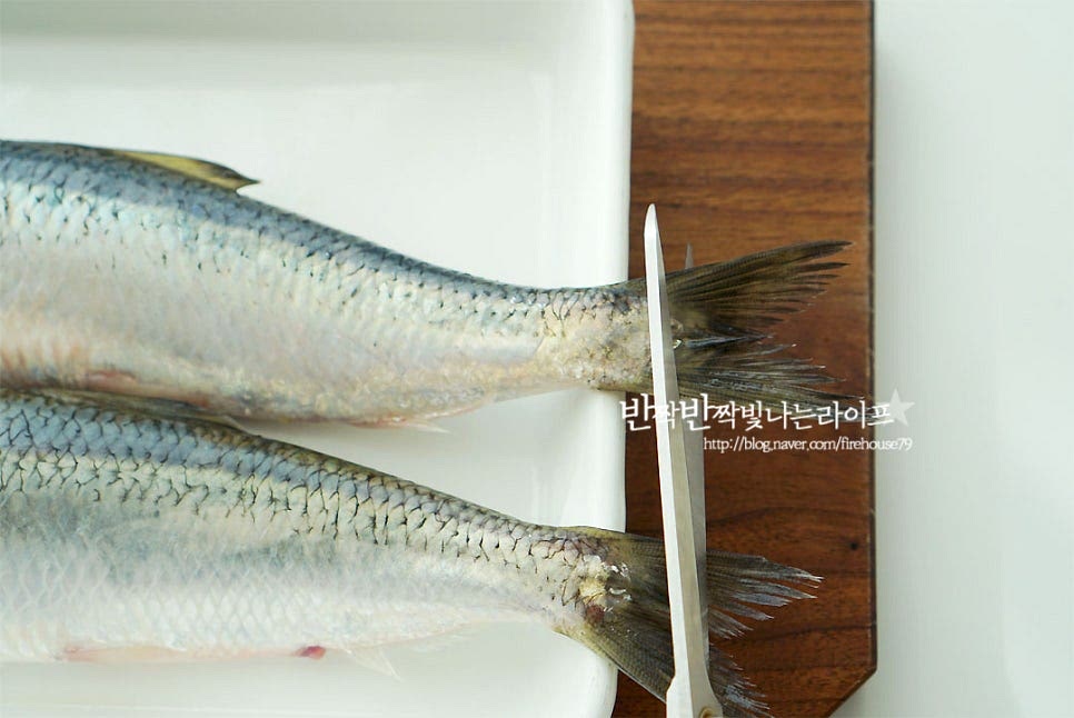 생선구이를 하기 전에 먼저 간단하게 손질을 하여주는데요. 꼬리와 지느러미를 제거하여 줍니다. 손질을 할 때는 가위를 사용하면 보다 손쉽게 할 수 있어요. 비늘을 제거해 주어서 따로 하지 않았는데 비늘이 제거되지 않았다면 칼로 긁어 제거하여 줍니다. 지느러미까지 깔끔하게 정돈해 주면 굽기도 편하고 구워서 살을 발라먹기 더 좋아요. 키친타월로 물기를 꼼꼼하게 제거해 주는데요. 달군 팬에 넣고 구울 때 기름이 사방으로 튀지 않고 비린내도 잡아줄 수 있어요. 지느러미와 꼬리, 물기만 제거해 주어도 맛있게 구워드실 수 있어요. 일정한 간격으로 칼집을 넣어줍니다. 칼집을 넣어주면 보기에도 먹음직스러울뿐더러 소금 간이 골고루 스며들고 속까지 바삭 촉촉하게 구워 먹을 수 있어요. 청어는 잔가시가 많은 편이라 칼집을 넣고 바삭하게 구워내면 고소하게 먹기도 좋아요^^ 소금 간을 하여 줍니다.