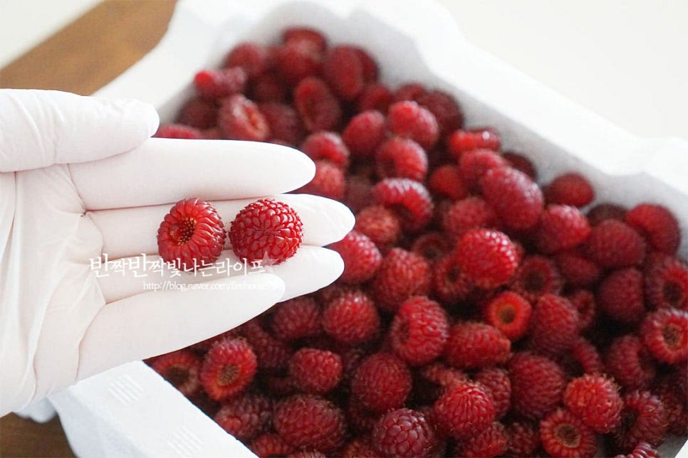 산딸기 철은 5월 중순부터 6월까지입니다. 짧은 기간 동안 나오는 과일이라 이맘때면 늘 찾게 되는 맛으로 붉은색이 선명하고 무르지 않은 것이 좋습니다. 과육이 쉽게 물러지며 곰팡이가 생기기 쉬워 먹을 만큼 구입하여 가급적 빨리 먹는 것이 좋은데요. 물에 닿으면 물러지니 씻지 않고 밀폐용기에 담아주는데요. 키친타월을 깔고 간격을 두고 담아 보관하는 게 좋습니다.