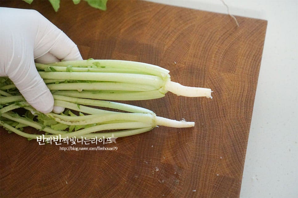 열무를 먼저 다듬어줍니다. 뿌리 부분은 길이에 따라 끝부분을 조금 잘라내고 칼로 껍질을 긁어내어 줍니다. 줄기와 연결되는 부분을 꼼꼼하게 제거하고 누런 잎이나 시든잎은 제거해 줍니다. 겉의 흙을 가볍게 헹구어 물기를 털어주고 한입에 먹기 좋게 썰어줍니다. 손이 많이 닿을수록 풋내가 나기 쉬워 조리과정에서 힘을 주어 많이 만지지 않는 게 좋습니다.