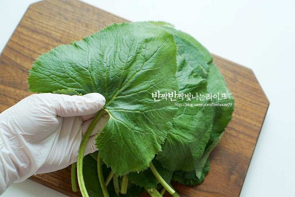 곰이 좋아한다는 나물은 잎이 연한 녹색을 띠는 게 좋아요. 손질하는 건 정말 간단해요. 줄기 부분을 먹기 좋게 잘라줍니다. 그리고 식초 약간 넣어 희석한 물에 살살 흔들어 주었다가 흐르는 물에 헹구어 물기를 털어 준비해요.