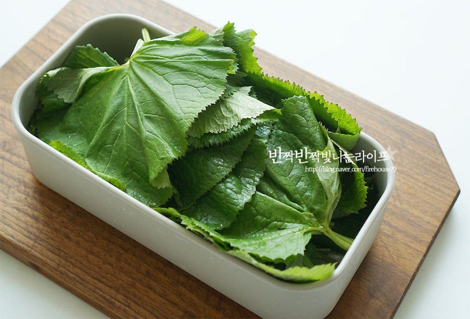 밀폐용기에 이파리를 담아줍니다. 7장 정도씩 줄기가 어긋나게 담아주면 부피가 적당히 좋아요. 한 김 식혀둔 간장물을 부어줍니다. 얼핏 보면 잠기지 않는 것 같지만 금방 숨이 죽어 양념과 어우러져요. 반나절 뒤에 열어보면 숨이 죽고 간이 잘 스며들어있답니다, 2~3일 정도 숙성한 뒤 냉장고에 두고 드시면 되어요. 맛있게 간이 되면 반찬 또는 고기 먹을 때 같이 곁들이면 기가 막히게 어울린답니다. 쌈 싸 먹음 봄나물 매력을 더 깊게 맛볼 수 있어요~ 영상도 같이 담았어요. 짭조름하면서도 새콤달콤 은은하게 쌉싸래한 맛이 조화로워 매력적인 맛이랍니다. 곰취장아찌 만드는법 기호에 맞게 간장물 비율 조절하여 봄철 향긋함을 살려보아요. 맛있게 만들어 드세요^^ 끄읕 !