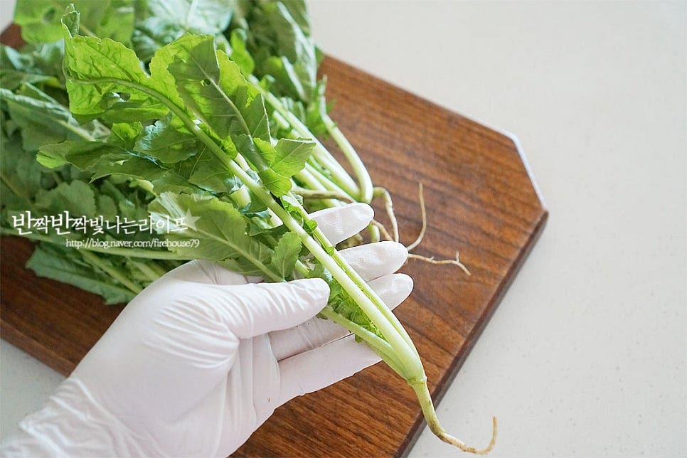 얼갈이를 섞어 물김치를 담갔어요. 비가 많이 내린 뒤로 식감이 질길것 같아 어린 열무와 얼갈이로 김치를 담갔어요. 어린잎이 연하며 줄기 부분을 눌러보았을 때 수분감이 느껴지게 아삭한 것이 먹기 좋게 보드라워요. 뿌리는 덜 여물어서 잘라내었어요. 상태에 따라 떡잎은 제거해 주고 이파리 끝부분을 다듬어주세요. 뿌리째 만든다면 흙을 칼로 긁어낸 뒤 굵은 것은 반으로 갈라주면 되어요. 한입에 먹기 좋은 크기로 잘라주는데요. 5~6cm 길이로 썰어주었어요. 얼갈이배추 역시 밑동 부분을 잘라내고 길이를 맞추어 잘라줍니다. 잎이 큰 것은 반으로 잘라주어요. 그리고 가볍게 물로 헹구어 줍니다.