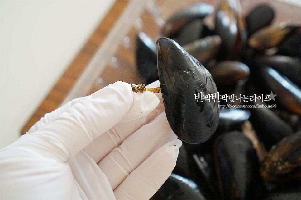 홍합 손질 먼저 해줍니다. 껍질 옆으로 보면 수염, 족사가 보이는데요. 뾰족한 이음새 부분으로 당겨 손으로 떼어내어줍니다. 껍데기에 붙어있는 이물질은 솔로 문질러 제거해 주거나 껍데기를 서로 비벼서 제거해 줍니다. 중강 중간 깨지거나 비어있는 것은 골라내어 손질해 준 뒤 깨끗한 물에 흔들어 씻어줍니다. 물에 오래 담그면 되려 단맛이 빠져나가니 해감 없이 이물질을 씻어 요리해 주시면 됩니다.