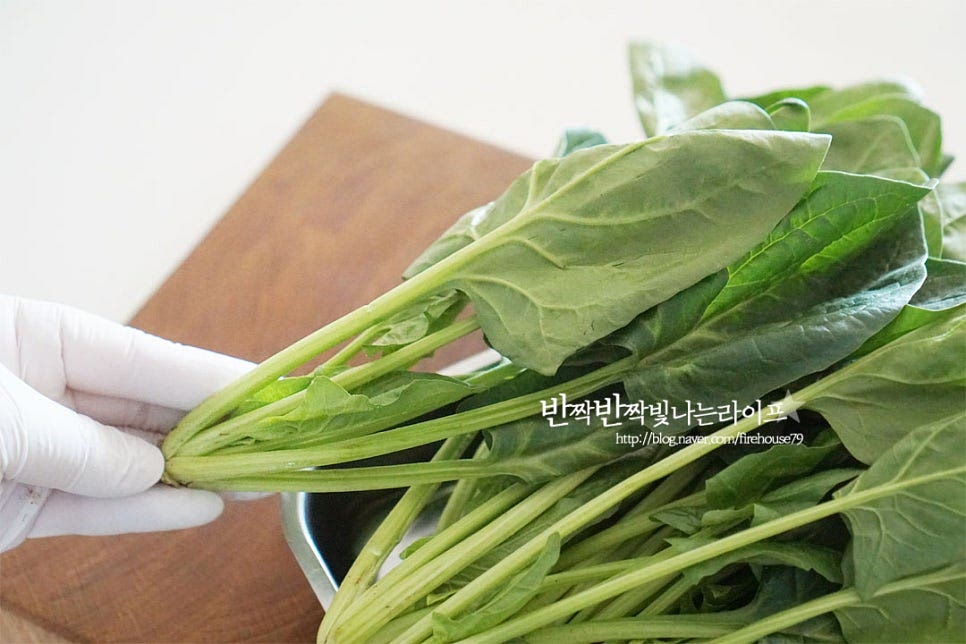 겨울에 나오는 것은 길이가 짧고 단맛이 강하지만 요즘에 나오는 시금치는 줄기가 길어요. 아직은 은은하게 단맛이 있는 게 나물무침 만들어 먹으면 맛이 괜찮더라고요. 뿌리 부분에도 영양이 많지만 겨울에서 봄에 나는 붉은 뿌리는 달고 맛있지만 지금은 그렇지 않아서 끝부분을 잘라내고 다듬어주었습니다. 손질한 뒤 사이사이 흙을 깨끗하게 세척해 줍니다. 물에 살랑살랑 흔들어가며 흙을 털어내고 잠길 정도로 물에 살짝 담그면 이물질이 가라앉는데요. 다시 끔 흔들어 씻어 물기를 털어줍니다.