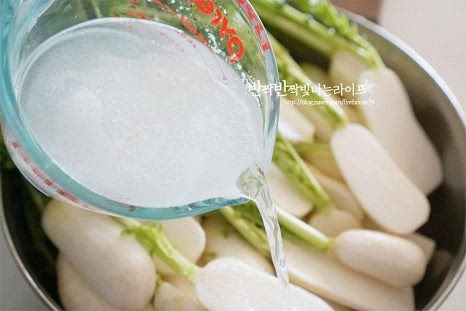 넉넉한 크기의 볼에 손질한 총각무를 넣고 물 1L 정도에 천일염 100ml 정도를 녹여줍니다. 가을에는 단맛이 있어 소금으로만 절여도 되지만 무가 맵다면 뉴슈가 1/4 작은 술 정도 넣어주셔도 됩니다. 절이는데 시간이 걸리는 무부분을 비스듬히 놓고 소금물을 부어준 뒤 굵은소금 50ml도 추가로 뿌립니다. 간수를 뺀 소금을 사용해줍니다. 상태에 따라 중간에 위아래로 뒤집어가며 1시간 30분~ 2시간 정도 절여주는데요. 1시간 정도 절인 뒤 무청부분을 함께 넣고 절여주면 됩니다. 절임 상태를 보아가며 시간은 조절해줍니다.