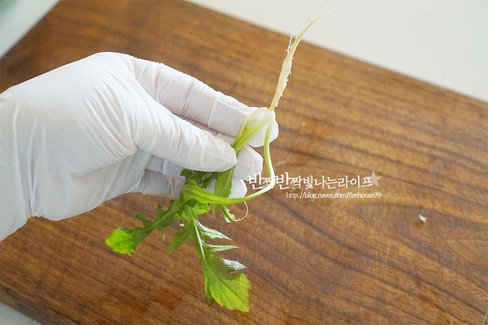 냉이 손질법 먼저 알려드릴게요. 냉이는 뿌리까지 모두 먹기 때문에 같이 손질하여 주시면 되는데요. 뿌리와 잎 사이의 흙은 칼로 살살 긁어내어 제거해 줍니다. 사이 부분에 흙이 은근 많으니 그 부분을 신경 써주시면 됩니다. 뿌리 굵기에 따라 굵다면 반으로 잘라주시면 됩니다. 누런 잎이나 상한 잎은 떼어내어 줍니다. 볼에 잠길 정도로 물을 붓고 살살 흔들어 씻어준 뒤 흐르는 물로 잎 사이사이 씻어줍니다. 흙이 나오지 않을 때까지 씻어주셔야 흙내가 나지 않아요. 깨끗하게 씻어 물기를 털어주고 먹기 좋게 4~5등분 하여 줍니다. 홍고추와 대파는 송송 썰어줍니다. 기호에 따라 청양고추 등 준비하셔도 좋아요.