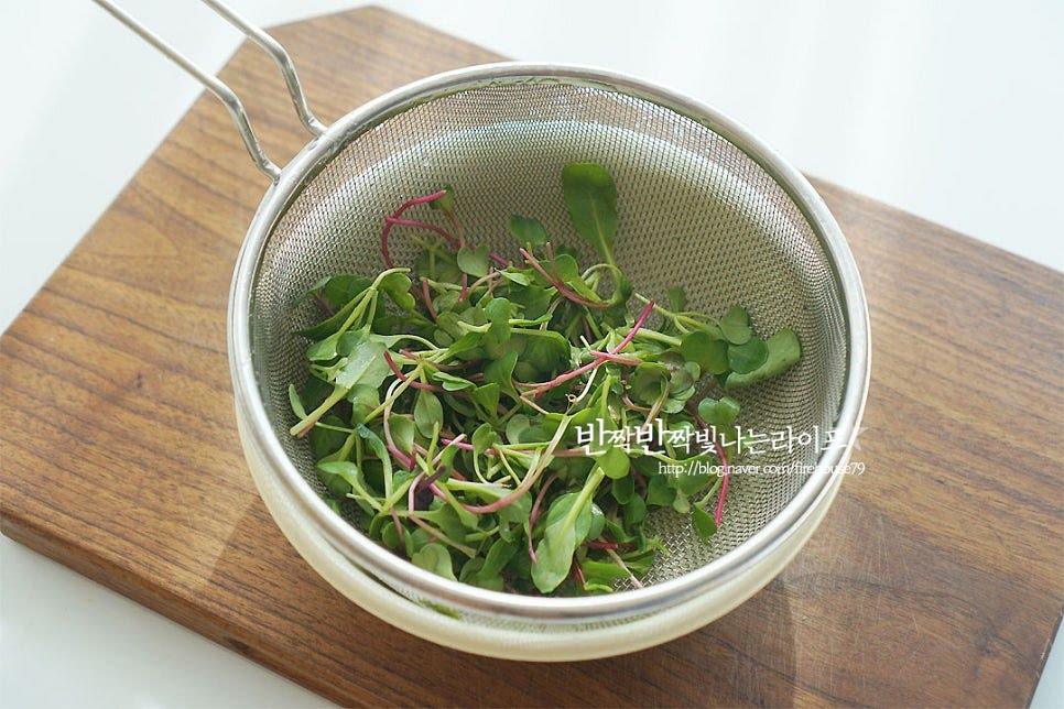 어린잎은 씻어 물기를 털어줍니다.