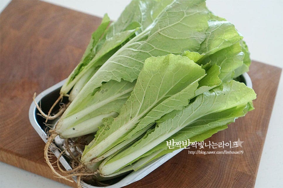 얼갈이는 단배추라고도 하며 속이 꽉 차지 않고 수분이 많고 억세지 않고 연하여 겉절이를 만들어 먹음 별미죠. 뿌리 부분이 싱싱하며 짙은 녹색으로 줄기가 연하고 가는 것이 맛이 좋습니다. 마르거나 누렇게 뜬 잎은 떼어내고 밑동 뿌리 부분은 잘라냅니다. 길이에 따라 한입에 먹기 좋게 잘라줍니다. 흐르는 물에 여러 번 헹구어 씻어줍니다. 잎이 벌어진 사이사이로 흙이 많이 묻어나기 때문에 꼼꼼하게 세척해 주셔야 해요. 세척 후 물기를 털어 체에 밭쳐둡니다.