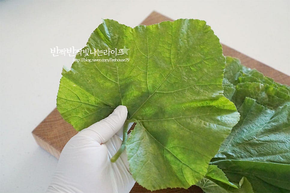 호박잎은 잎이 연하고 줄기가 질기지 않은 것이 쌈을 싸먹기 연하고 맛이 좋은데요. 생으로 먹기에는 잎이 크고 넓으며 잔털이 있고 거칠어서 쪄서 먹거나 장아찌나 된장찌개에 넣고 요리해 먹는답니다. 줄기 끝부분을 잡고 얇은 섬유소질을 쭈욱 당기면 얇고 투명한 껍질이 나오는데요. 호박잎 손질은 이 질긴 부분을 제거해 주어야 먹었을 떼 질기지 않고 연해서 먹기 좋습니다. 억센 부분을 제거해 주면 식감도 맛있고 요리 레시피에 활용하기도 좋아요. 줄기 길이에 따라 긴 것은 가위로 잘라주시고요.