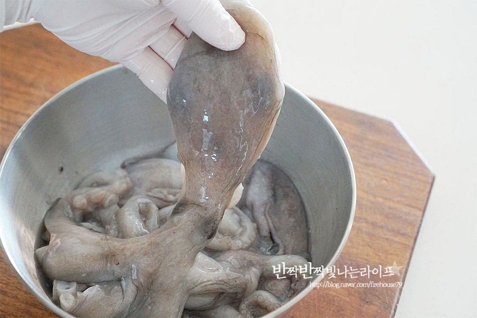 급랭한 냉동낙지를 찬물에 담가 해동했어요. 내장과 눈, 입을 제거해 주는 손질을 해줍니다. 몸통 부분을 뒤집거나 가위로 반으로 잘라 내장을 잡아떼어내어 줍니다. 몸통 안쪽으로 붙은 것을 가위로 잘라내어주면 간편하게 분리가 되어요. 다리를 뒤집어보면 입이 보이는데요. 이 부분을 손으로 누르거나 가위의 끝부분으로 떼어내어 줍니다. 눈은 손으로 잡고 가위로 잘라줍니다. 내장과 눈, 입을 제거한 뒤 밀가루 3 큰 술, 굵은소금 1 큰 술을 넣어줍니다. 밀가루를 넣고 세척하면 빨판의 이물질을 제거할 수 있고, 굵은소금은 냉동의 식감을 탱글하고 탄력 있게 해줍니다. 바락바락 문질러 준 뒤 흐르는 물에 깨끗하게 헹구어줍니다. 씻고 나면 탱탱하게 탄력이 느껴져요. 백종원 낙지볶음은 살짝 데쳐준 뒤 요리하는데요. 그럼 물이 덜 생겨 양념이 더 잘 어우러져요. 잠길 정도로 물을 붓고(대략 1L) 팔팔 끓어오르면 10초 정도 살짝만 데쳐줍니다. 오래 데치면 식감이 되려 질겨질 수 있으니 색이 변하면 바로 건져내어 주세요. 탱글하게 식감을 살리기 위해 차가운 물 또는 얼음 물에 담가 열기를 식혀줍니다. 얼음 물에 담그면 탄력이 느껴져요~ 물기를 털어낸 뒤 한 입 크기로 잘라줍니다. 두꺼운 부분은 조금 짧게, 가는 다리는 길게 잘라주었어요.