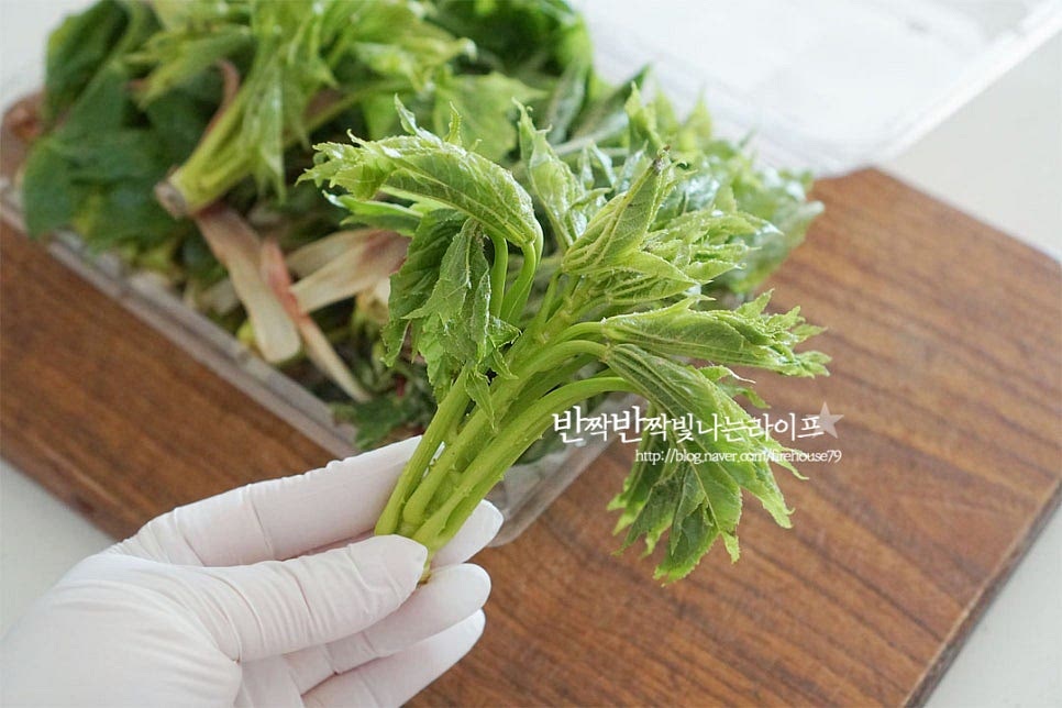 선명한 녹색으로 향이 진한 엄나무순이에요. 중간 사이즈가 적당히 연하면서 향이 진해 장아찌 만들어 먹기 좋은 것 같아요. 보라색 뿌리 부분은 제거해 주고 끝부분도 다듬어 씻어줍니다. 밑동을 잘라내어 담아도 되지만 끝부분만 다듬어 통으로 담은 뒤 먹을 때 먹기 좋게 찢어 먹으면 됩니다. 다듬어 손질하기만 해도 향긋함이 가득해요. 제가 담은 건 가시가 연해서 따로 제거하지 않았지만 큰 것은 먹기 좋게 칼로 살살 긁어내어 주시면 됩니다. 엄나무순 데치기 간단합니다. 재료가 잠길 정도로 물을 붓고 팔팔 끓으면 소금 1/2 큰 술 넣어줍니다. 끓어오르는 때 손질한 순을 넣고 데쳐줍니다. 장아찌로 만들어 드실 때는 너무 오래 데치면 식감이 물러질 수 있어 10초 정도, 숨이 죽을 정도로 데친 뒤 바로 건져내어 줍니다. 데친 뒤 나물이나 숙회로 드실 땐 30초~1분 정도 데쳐주시면 됩니다. 크기에 따라 물러지지 않게 데쳐주세요. 찬물에 바로 헹군 뒤 물기를 제거해 줍니다.