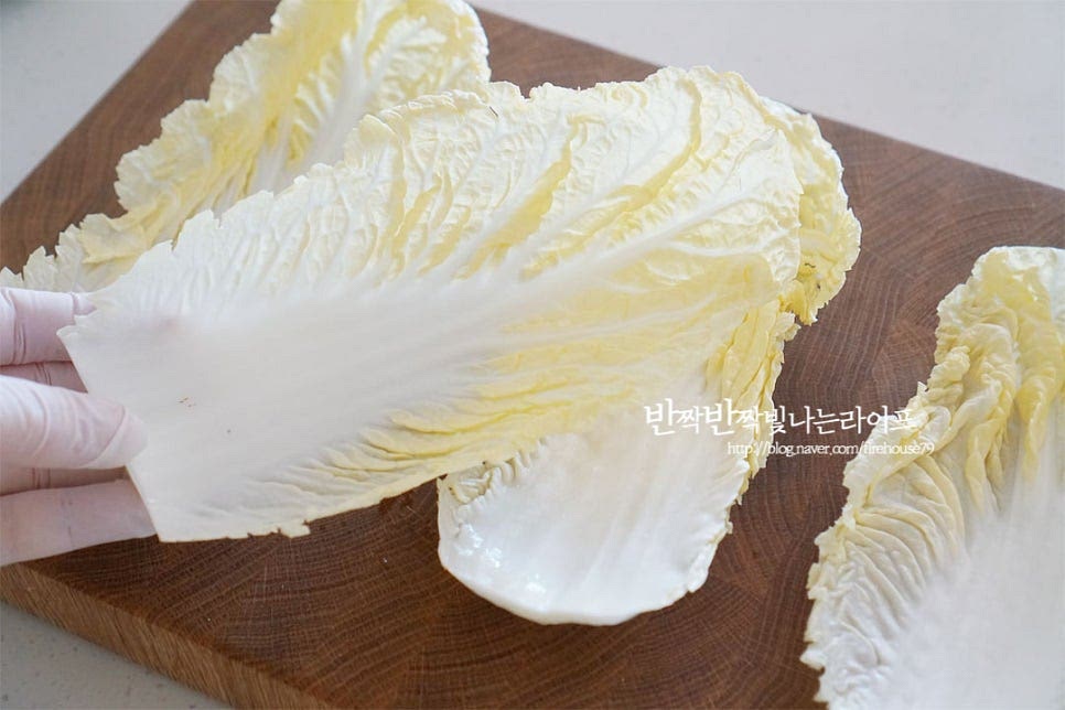 노란 속대를 준비했어요. 꼭지 부분을 잘라내어 낱장으로 분리하여 8장 정도의 분량으로 요리했어요. 절이지 않고 그대로 전반죽을 묻혀 배추부침개를 만들려고 하는데 김치를 담글 때 남은 절인 것으로 만들어도 별미입니다. 흐르는 물에 씻어 물기를 제거한 뒤 줄기 부분을 다듬어주는데요. 한 장을 넓게 펼쳐보면 노란 잎 부분은 얇지만 줄기 부분은 조금 두툼해요. 골고루 바삭하게 굽기 위해서 줄기를 칼등으로 가볍게 두드려 높이를 맞추어 주었습니다. 너무 세게 힘을 주면 줄기가 아삭하여 깨질 수 있으니 살살 두드려주세요. 얇게 다듬은 뒤 요리하면 반죽이 골고루 묻어 간도 잘 어우러지고 부드러우면서 바삭하게 굽기도 좋아요.