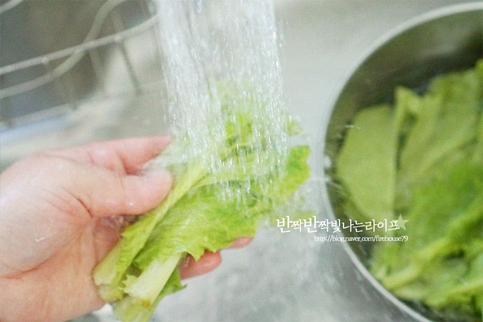 상추는 흐르는 물에 헹구어 씻어줍니다. 잎 사이사이 물기가 많이 묻어나므로 탈탈 털어가며 물기를 제거해 주세요. 너무 힘을 주어 털면 부드러운 잎이 찢어질 수 있으니 살짝 흔들어가며 물기를 제거합니다.