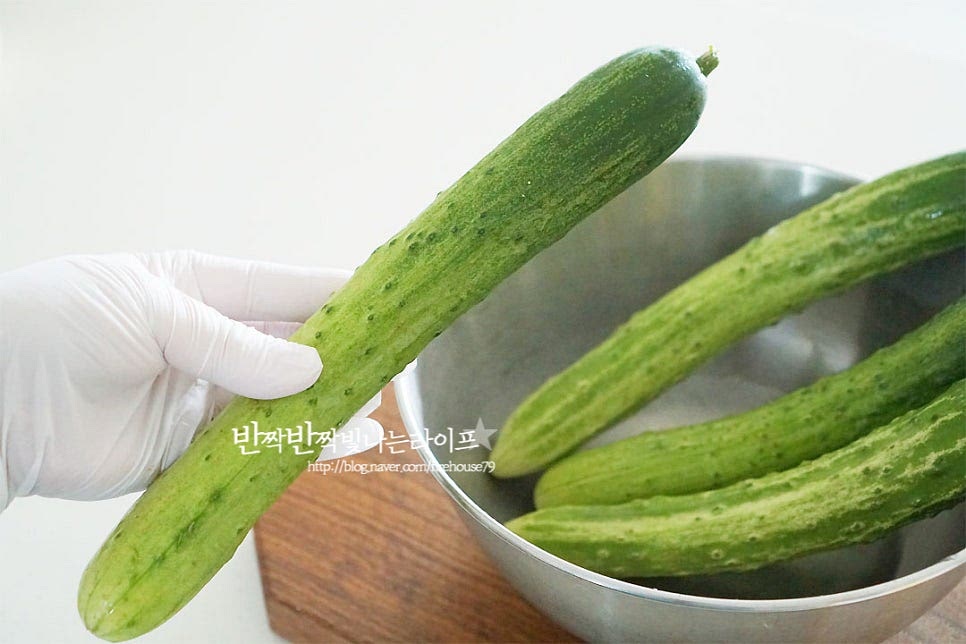 장아찌용은 백오이를 준비해 주시면 됩니다. 굵은소금으로 살살 문질러 깨끗하게 씻어줍니다. 돌기 부분에 상처가 생기지 않도록 살살 문질러 세척해 주세요. 쓴맛이 나는 양 끝 부분은 넉넉하게 잘라내어 줍니다. 그리고 한입에 먹기 좋게 잘라주면 되는데요. 저와 같이 동그란 모양 그대로 썰어주셔도 좋고, 직사각형, 반달 모양 등 취향껏 썰어주세요. 빠른 시일 내 먹을 것은 씨를 넣고 만드셔도 좋지만 장기 보관하시려면 씨 부분을 제거해 주셔야 내내 아삭하게 드실 수 있어요. (오이는 4개 준비하였다가 양이 많아서 3개로 만들었어요^^) 양파는 껍질을 벗긴 뒤 오이와 같은 크기 밸런스를 맞추어 네모나게 잘라줍니다. 고추는 끝부분을 잘라내고 송송 설어주어요. 매운맛 기호에 따라 더 넣어주셔도 좋아요~ 재료를 준비하고 나면 반 이상 만든 것이나 다름없어요. 의외로 간단하게 만들기 좋은 절임 반찬이랍니다.