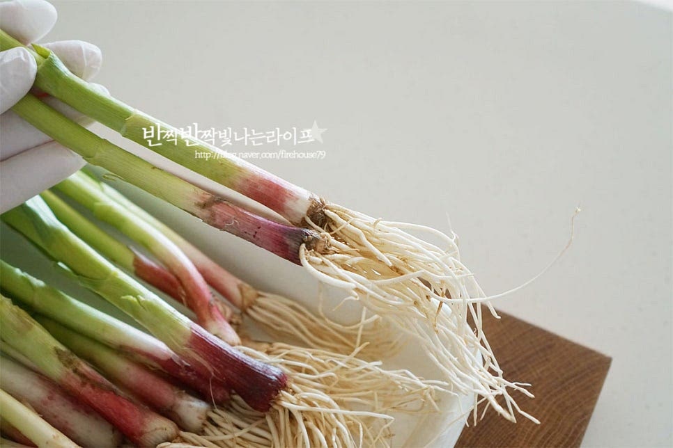 덜 여문 잎과 마늘대는 마치 대파와 비슷하게 생겼지만 먹어보면 부드러운 조직감이 느껴지는 식감과 진한 향이 달라요. 너무 굵지 않고 연한 마늘대무침을 준비했어요. 대파와 같은 방법으로 손질해 줍니다. 뿌리 부분은 잘라내고 상한 잎을 제거해 줍니다. 겹겹이 붙은 잎 부분 사이로 흙먼지를 꼼꼼하게 제거해 씻어줍니다. 깨끗하게 세척한 뒤 물기를 털어줍니다.