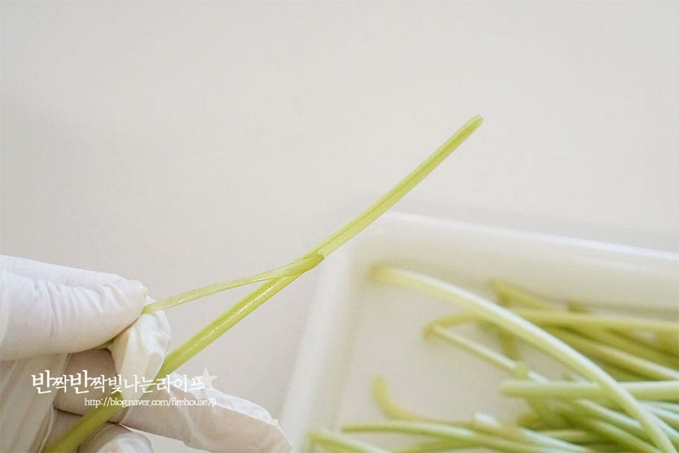 고구마줄기는 껍질을 벗기는 과정이 손이 가는 편인데요. 고구마줄기김치를 부드럽고 아삭하게 먹기 위해 꼭 껍질을 제거해 주어야 합니다. 저는 미리 손질 해둔 것을 준비해 주었어요. 생으로 껍질을 벗겨서 고구마순김치를 담그는 것보다 끓는 물에 데친 뒤 벗겨주면 수월하게 벗길 수 있습니다. 냄비에 고구마줄기가 잠길 정도로 물 1.8L 정도 부은 뒤 소금 1 큰 술을 넣어줍니다. 천일염에 20~30분 절여서 김치를 담그는법과 데쳐서 만드는법 두 가지가 있는데요. 간편하게 데쳐서 요리해 보았습니다. 데쳐서 만들 때는 식감이 물러지지 않도록 아삭함을 살려 데쳐주는 것이 중요해요. 물이 끓으면 고구마순을 넣고 2~3분 데쳐줍니다. 껍질을 벗긴 것이라면 2분 이내로, 그대로 데친다면 3분 이내로 데쳐 물러지지 않게 해줍니다. 데친 뒤 찬물에 바로 헹구어 열기를 식혀줍니다. 그리고 줄기 끝부분을 따라 껍질을 벗겨주면 손쉽게 제거할 수 있습니다. 헹군 뒤 물기를 탈탈 털어둡니다.