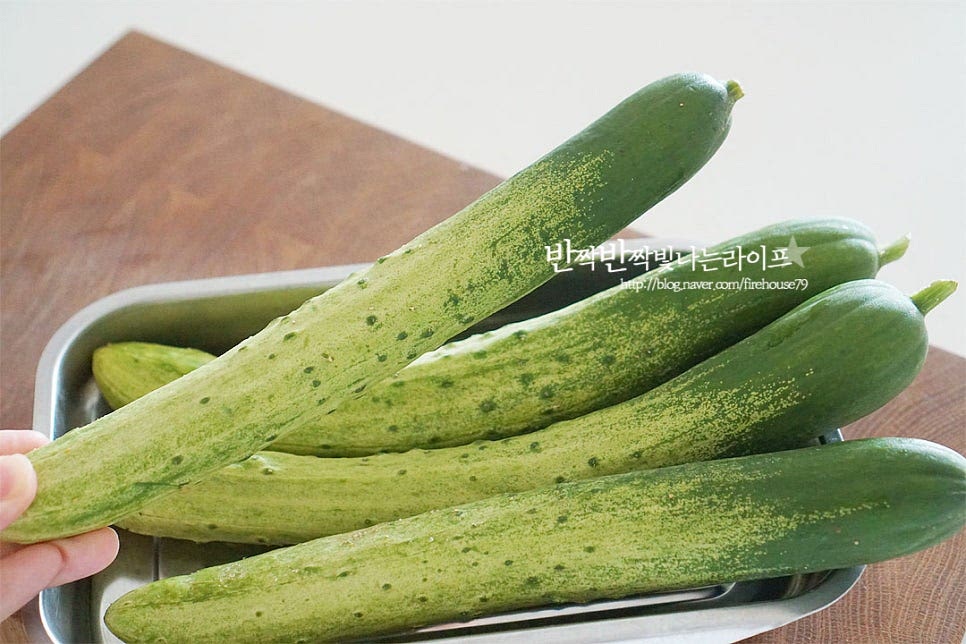 주재료인 오이를 준비합니다. 아삭한 식감의 백오이가 김치를 담그기 좋습니다. 두께가 굵은 것은 속에 씨가 많고 크므로 적당한 크기가 아삭하게 맛있어요. 굵은소금으로 살짝 문질러 세척해 주는데요. 이때 표면에 상처가 생기면 물러지기 쉬우니 살살 손질해 주세요. 소금 대신 베이킹소다도 좋습니다.