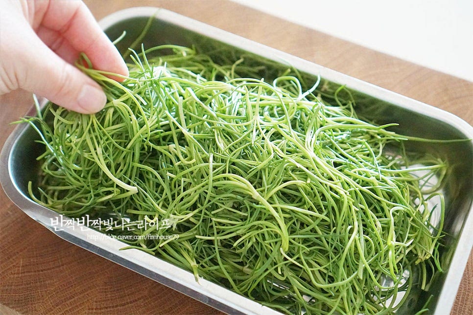 해안가에서 자라서 갯나물이라고하는 세발나물은 얼핏 보면 영양부추처럼 생긴 것이 손질하는 방법도 간단합니다. 사이사이 깨끗하게 헹구기 위해서 흐르는 물에 씻기보다는 물에 담가 살짝 흔들어가며 세척하면 사이사이 헹구기 수월합니다. 연하기 때문에 물을 넉넉하게 넣고 흔들면서 씻으면 됩니다. 세척 후 체에 밭쳐 물기를 털어줍니다. 은은한 풋향이 느껴지는 맛으로 풋내없이 데쳐서 무침 반찬 만들어도 좋지만 오독하게 먹는 식감이 있어 생으로 겉절이 만들면 맛이 좋습니다.