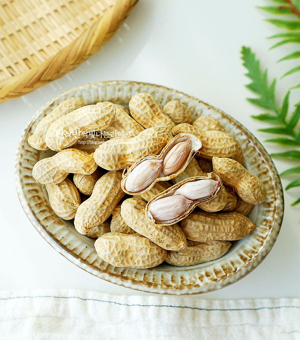 한 김 식힌 뒤 먹어보면 껍질 속 부드럽고 고소한 맛이 제철 별미입니다. 생땅콩을 볶아서 먹는 것도 좋아하지만 삶아서 먹으면 담백하면서도 은은한 단맛이 느껴져 또 다르게 맛이 좋습니다. 소금만 넣고 삶은 것이라 가볍게 간식으로 챙겨 먹기도 좋고요. 삶은 땅콩 보관법은 바로 먹을 것은 채반에 펼쳐 수분을 빼서 실온에 두고 먹음 되고 나머지는 밀폐용기에 담아 냉장 보관해 두고 빨리 먹는 게 좋습니다. 껍질 이음새 부분을 살짝 깨물면 반으로 나뉘면서 가운데 알알이 고소합니다. 적당하게 소금 간이 배서 고소함이 더 풍부합니다. 제철에만 맛볼 수 있는 껍질땅콩이기 때문에 깨끗하게 세척 후 냄비에 물과 소금을 넣고 부드럽게 삶아서 요리하면 맛있는 간식 별미가 따로 없답니다. 맛있게 삶아서 드세요. 끄읕 !