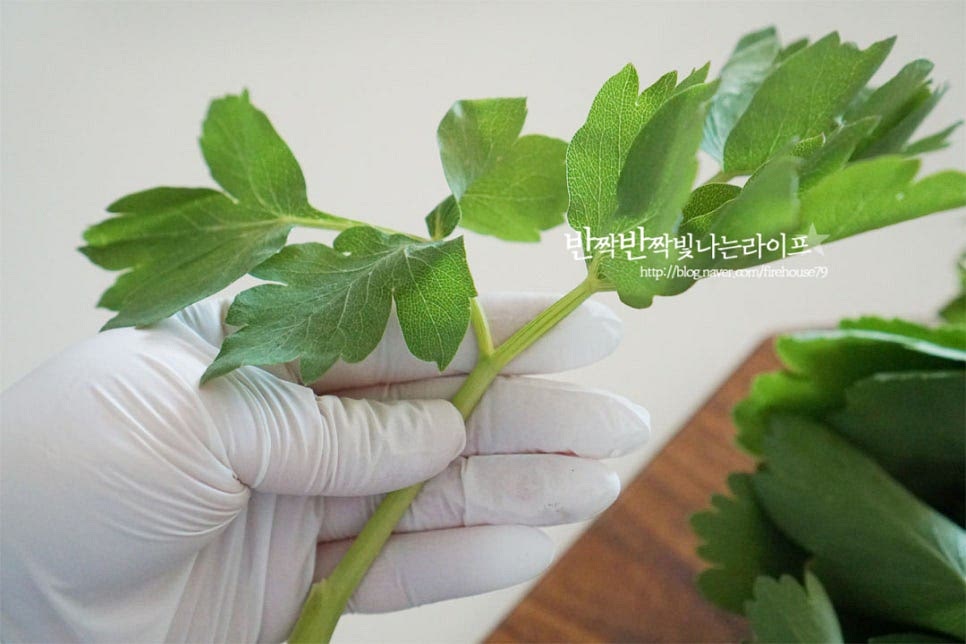 방풍나물은 바닷가 바위틈에서 잘 자란다고 하죠. 잎이 신선하고 줄기가 너무 길지 않으며 특유의 향이 진한 것이 좋아요. 봄에 나오는 건 보드라운 편이지만 여름이 다가올 땐 조금 억센 편이라 질긴 줄기 부분을 잘라내어 다듬어줍니다. 만져보면 단단하고 굵은 줄기는 잘라내어 줍니다. 연한 줄기와 잎 부분을 손질해 주었습니다. 중간중간 새순이 섞여있었는데 된장무침 했을 때도 새순이 맛이 좋답니다~ 다듬은 뒤 흐르는 물에 씻어줍니다.