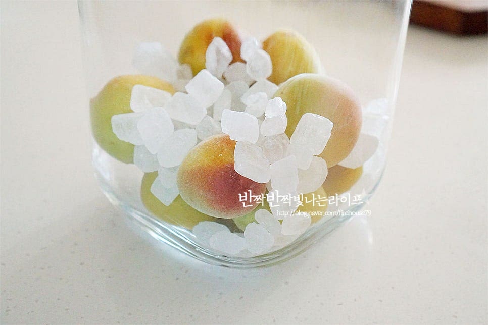 올해는 얼음설탕을 넣고 한 병 만들었어요. 비율은 동일하게 1 : 1로 넣어줍니다. 입자가 얼음처럼 굵은 빙탕으로 만들면 천천히 녹아 과육의 향이 더욱 진하게 우러난다고 해요. 한 번에 다 넣지 않고 3번에 나누어 과실과 빙탕을 층층이 넣어주었습니다. 윗부분은 역시 보이지 않게 덮어 마무리하여 주면 됩니다. 청매와는 다르게 향긋함이 깊어 손질할 때부터 한입 베어 물고 싶은 맛인데요. 숙성되면 달콤함이 깊어진답니다. 매실청 보관 방법은 100일 동안은 잘 녹아 어우러지도록 반은 햇빛, 반은 그늘인 반음지에 두고 녹으면 서늘한 곳에 두면 됩니다. 100일 숙성한 뒤 건더기를 건져내어 먹거나 1년 동안 그대로 숙성한 뒤 액을 건져내어 더 숙성해 주셔도 좋아요. 아무래도 오래 숙성할수록 단맛이 깊어집니다. 영상도 같이 담았어요. 황매실청 담그는법을 정리해 보면 물기 없이 건조한 과실은 꼭지를 제거한 뒤 올리고당, 설탕을 나누어 넣고 숙성해 줍니다. 명인 레시피대로 올리고당을 넣어주셔도 좋고, 설탕이나 빙탕을 1:1 비율로 넣어주셔도 좋아요. 제철의 맛과 향을 담은 매실청 담그기 맛있게 만들어 보세요^^ 끄읕 !