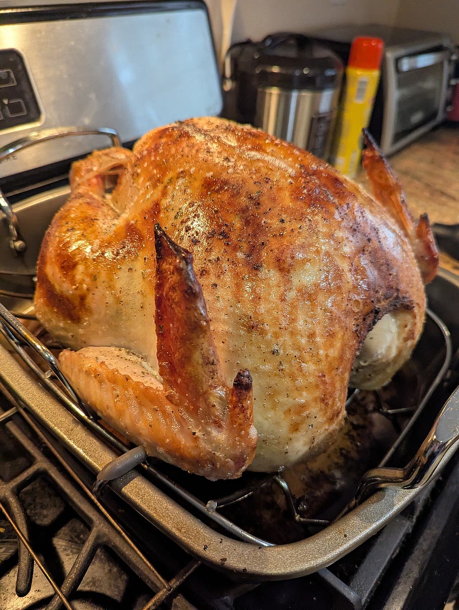 First phase of roasting.
With the oven preheated to 500° & the bird ready in its roasting pan (breast up & with its legs placed back in its plastic stirrups), you can now slide the bird into the oven (the top of the breast should always go deepest in the oven).
Where it will roast for about 30 minutes (or until the breast skin is well crisped. This may take a few extra minutes).