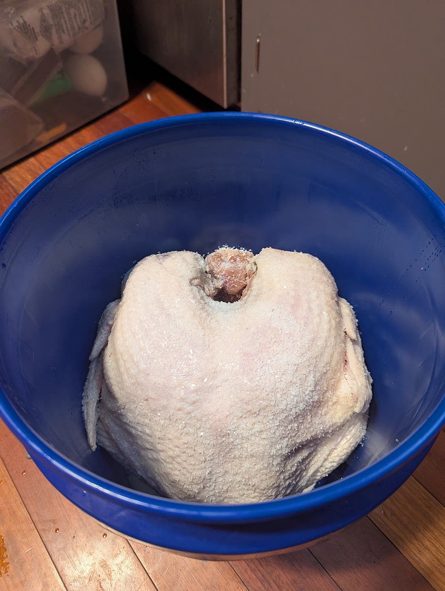 Drying the turkey.
Once the turkey has soaked to your liking (also aligned to be the day before you are cooking your turkey), you will remove it from the bucket & discard the brine (we pour ours through a mesh strainer to save the herbs & garlic with which to stuff the turkey cavity & provide extra aromatics during roasting) & clean out your bucket for the next step. You may then rinse the bird clean & pat dry with paper towels.
Once the bucket & bird are dry, line the bottom of the bucket with a few layers of paper towels, then place the bird back in the bucket, upright, with its breast open to the air.
Then sprinkle more canning salt, liberally over the turkey, reseal & replace the bucket in the fridge for the next day. (It's important that the skin dries out to ensure it crisps properly when roasting).
This is also a good time to take out your butter & allow it to soften.