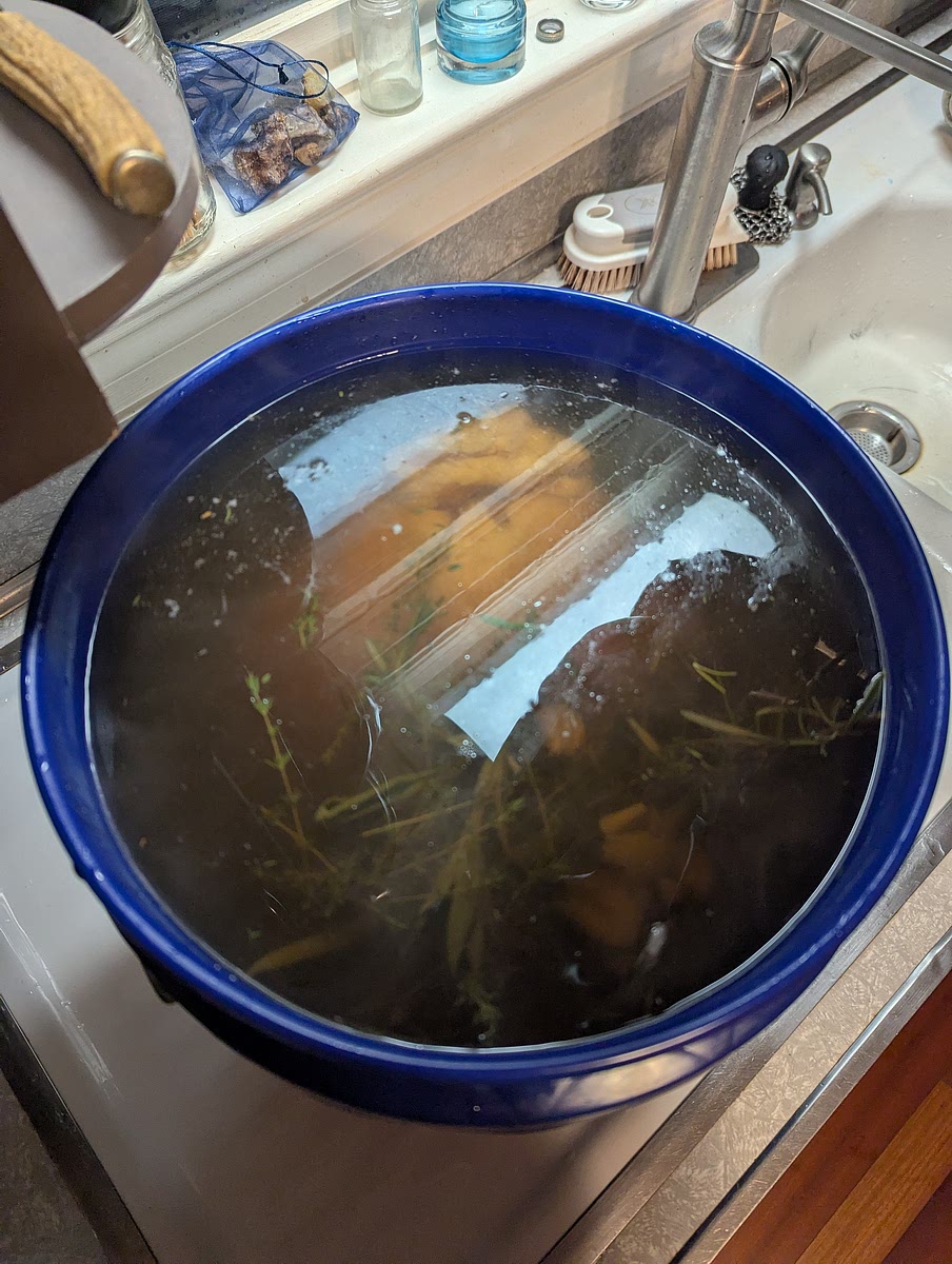 Brining the turkey.
Once the turkey is fully submerged in the bucket, you may seal the bucket with its lid & place the bucket in the refrigerator for 2-5 days.
(You can do shorter times of even as little as 12 hours & have noticable results, but I really recommend waiting at least 2 days to get the full flavor).