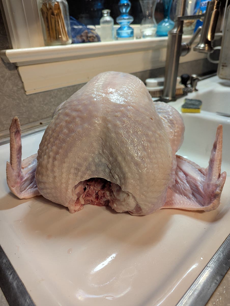 Prepping the bird.
After the turkey is dethawed, it should be unwrapped & cleaned.
This includes removing the neck, organs & "giblets" from the cavity of the turkey. Then using kitchen shears, trim off the excess skin & fat around the neck cavity (you don't want to remove too much & expose breast meat). Then pat dry with paper towels & place in a good clean 5 gallon bucket with the top of the breast facing down in the bucket (This is important, to make sure the breast meat is fully submerged in brine).